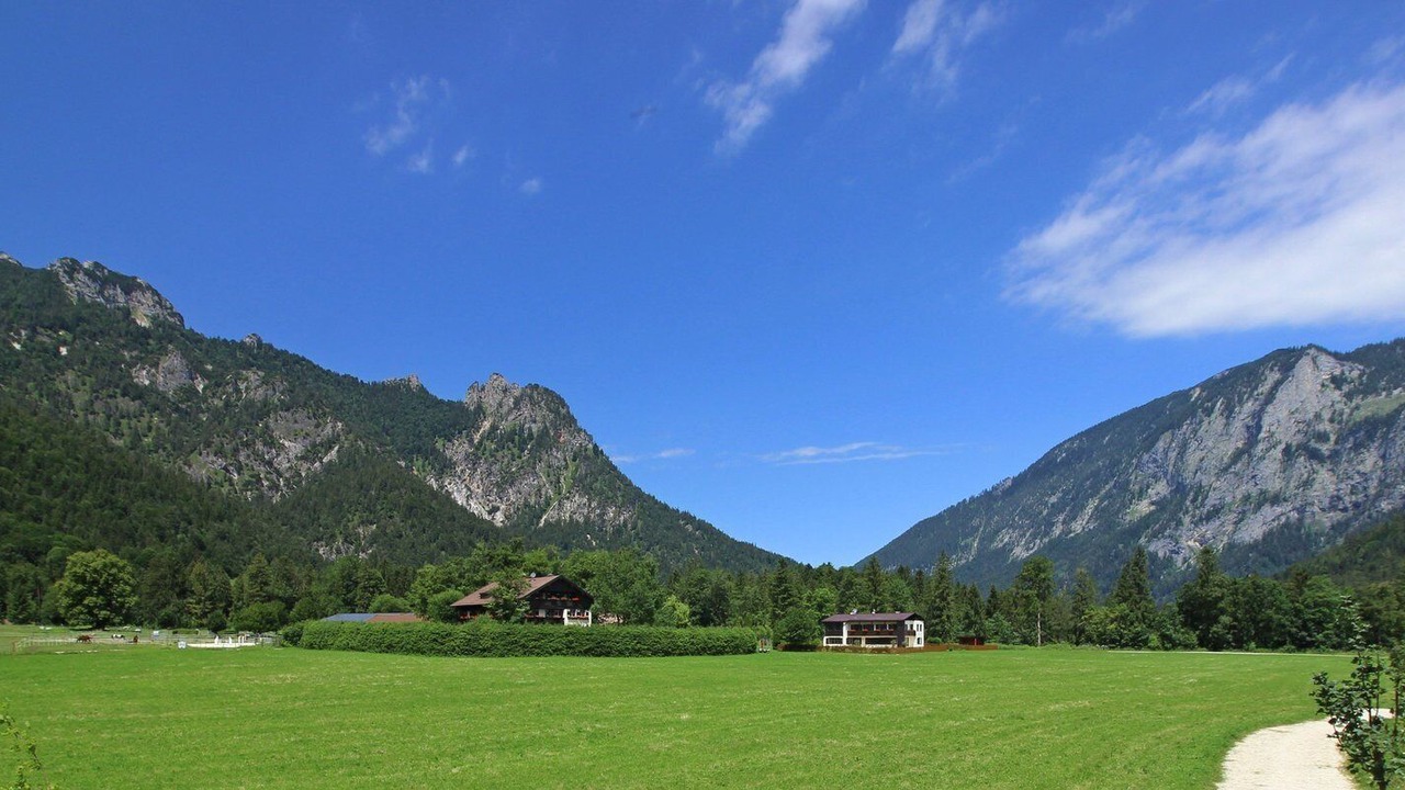 Photo of Others in Winkl