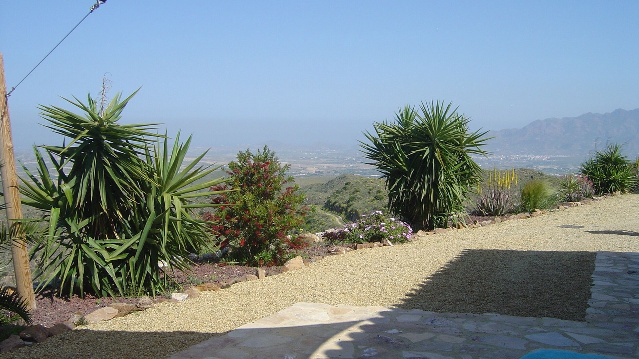 Photo of Outdoor in Bedar