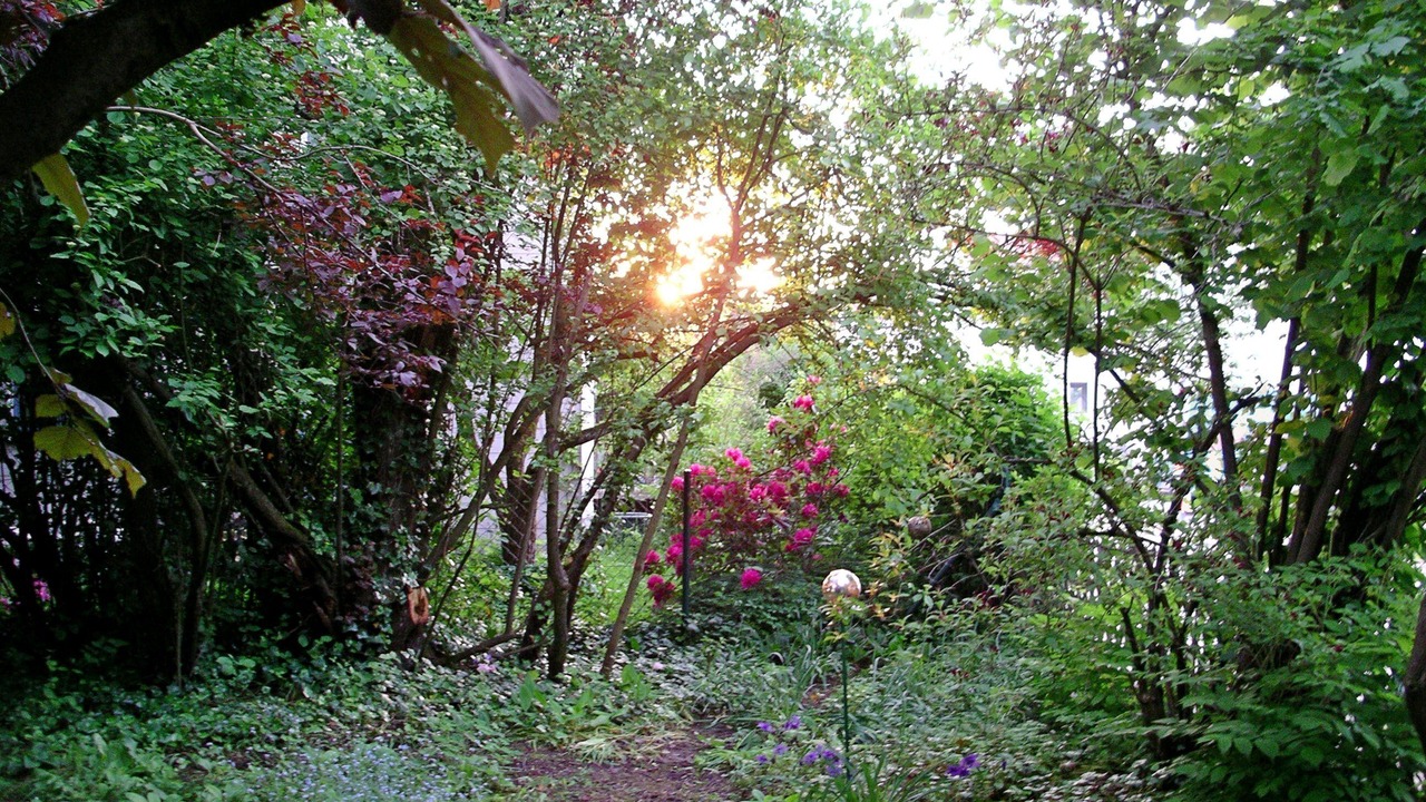 Photo of Outdoor in Neuendettelsau