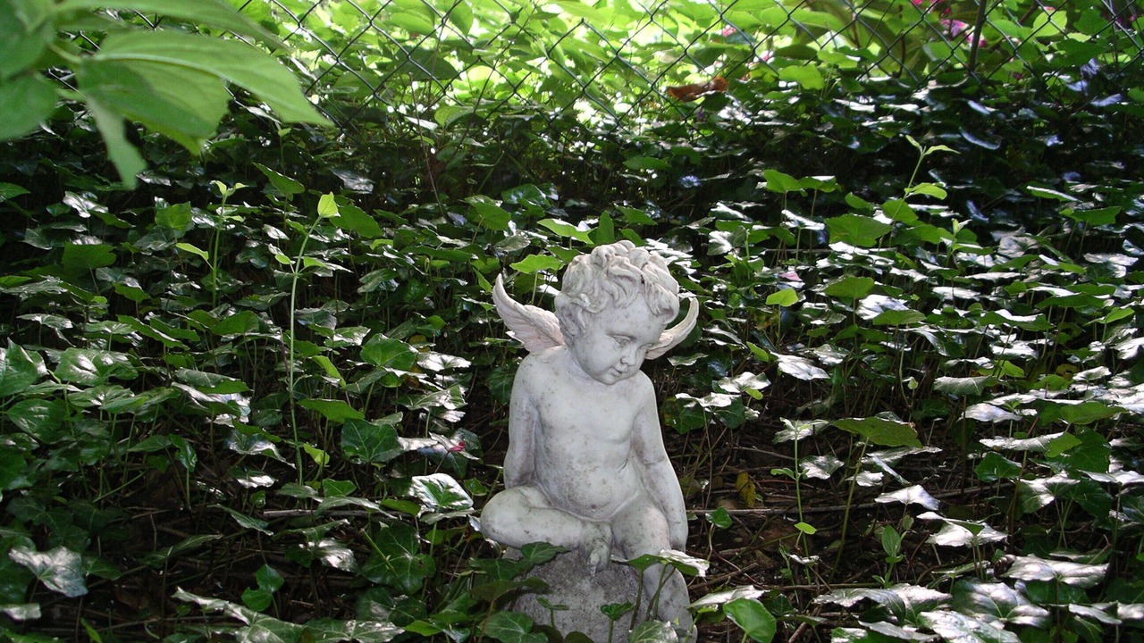 Photo of Others in Neuendettelsau