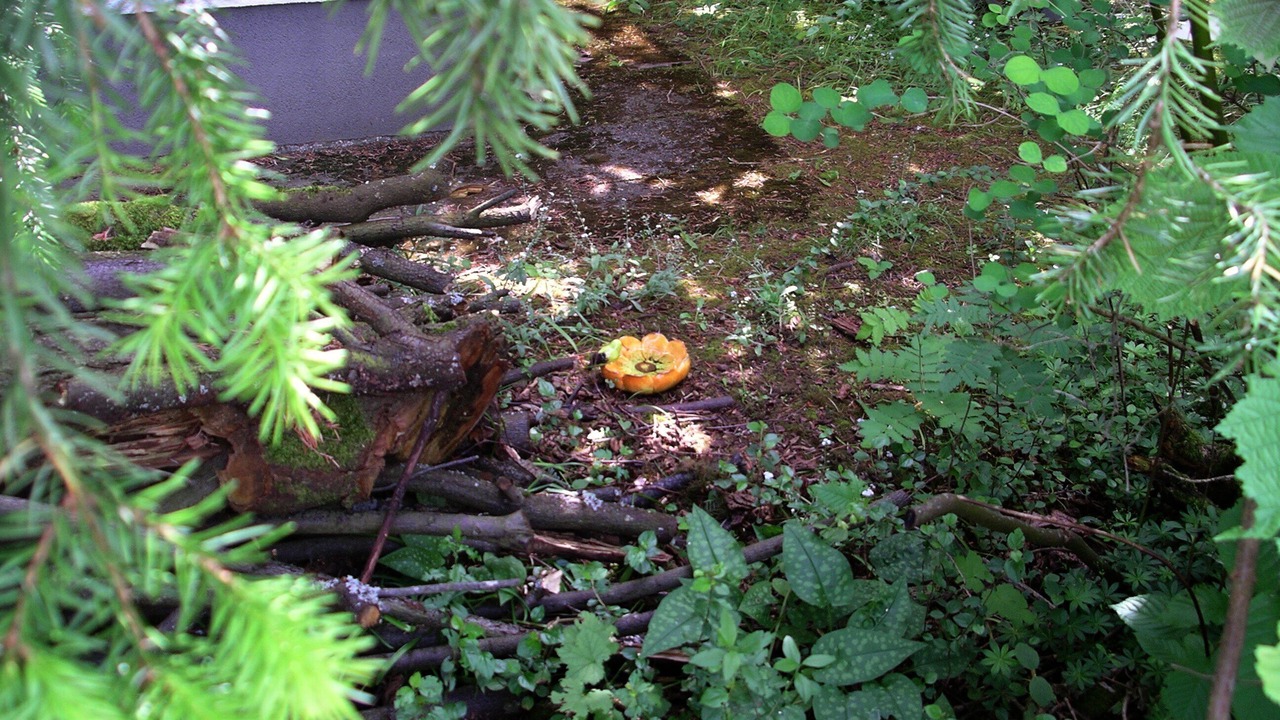 Photo of Others in Neuendettelsau