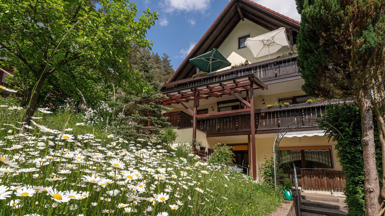 Photo of Outdoor in Waischenfeld