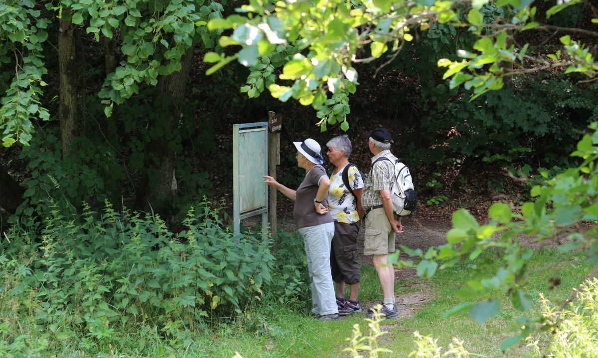 Photo of Others in Waischenfeld