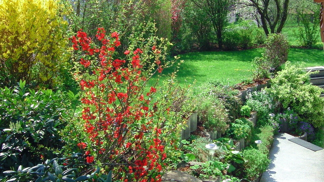 Photo of Outdoor in Vestenbergsgreuth