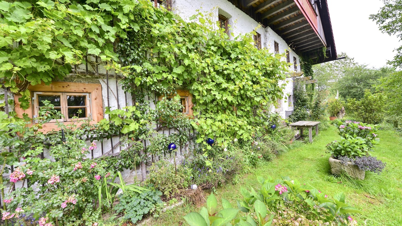Photo of Outdoor in Neureichenau