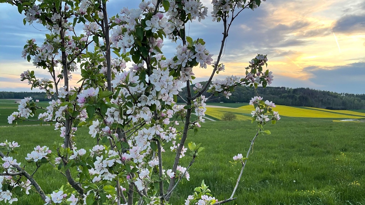 Photo of Outdoor in Pruhl