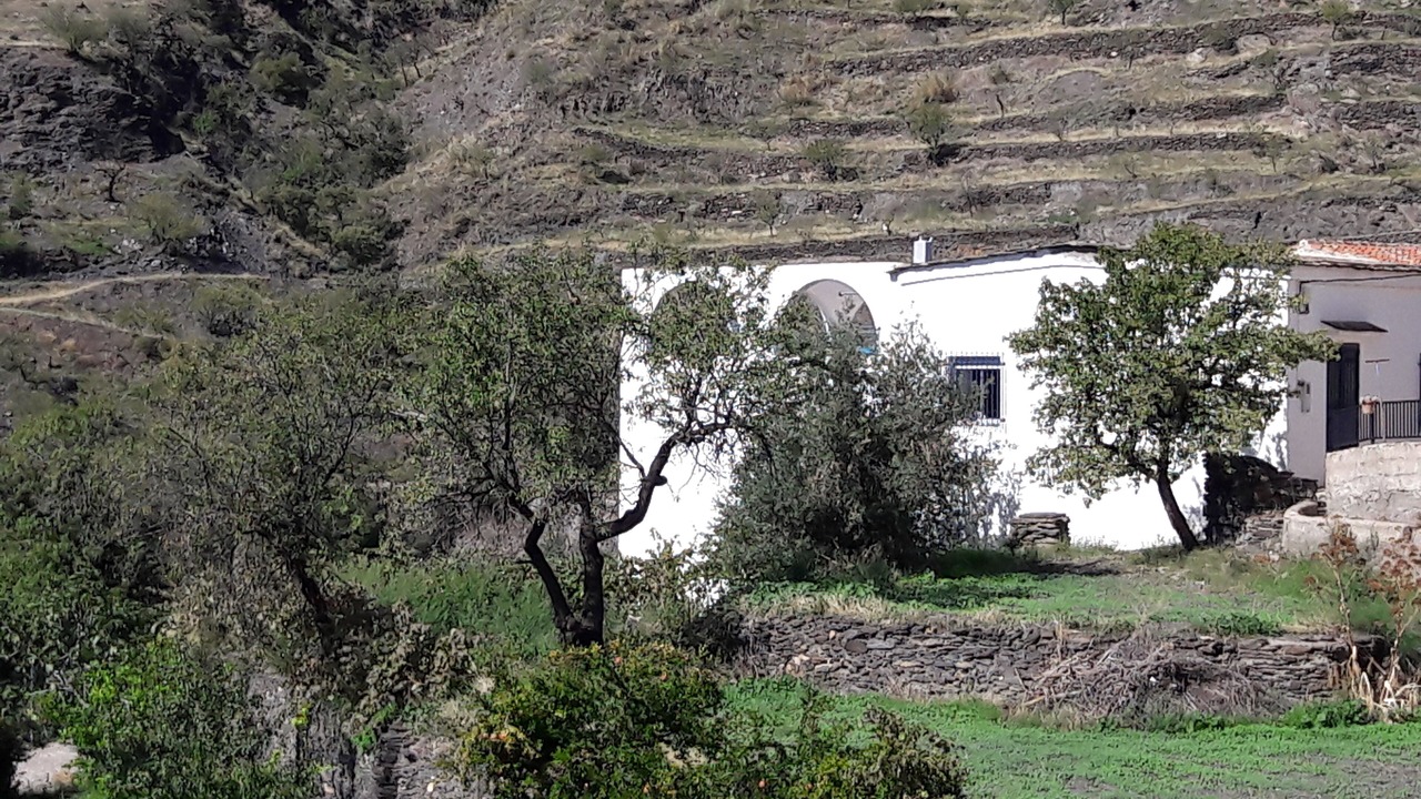 Photo of Outdoor in Senes