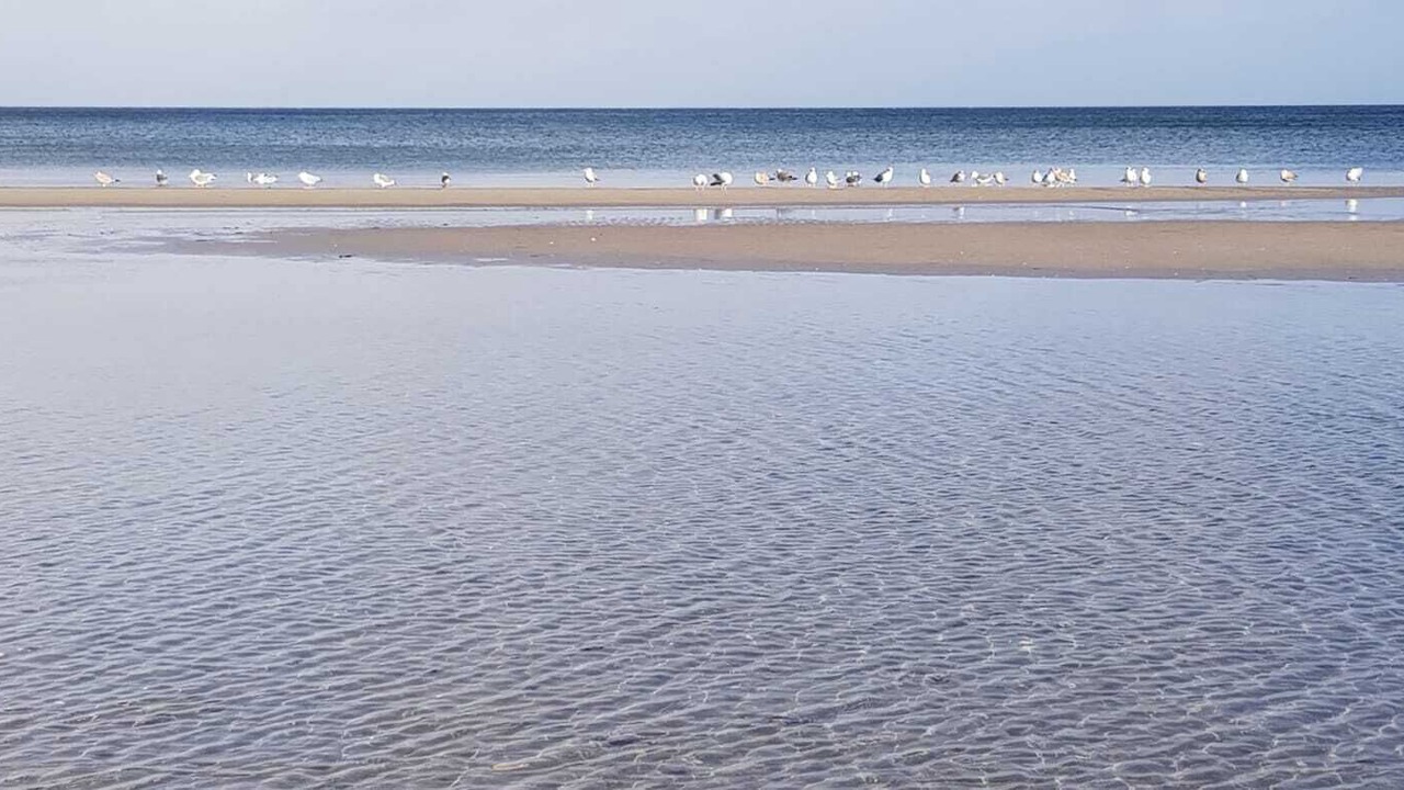 Photo of Others in Scharbeutz