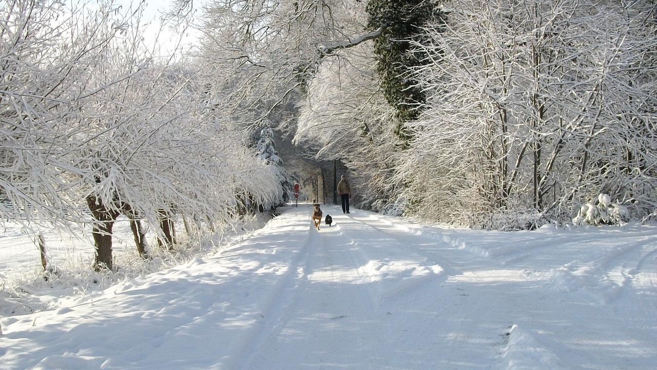 Photo of Others in Rosendahl