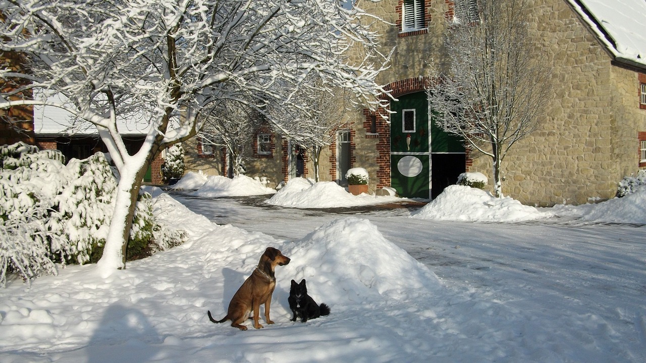 Photo of Outdoor in Rosendahl