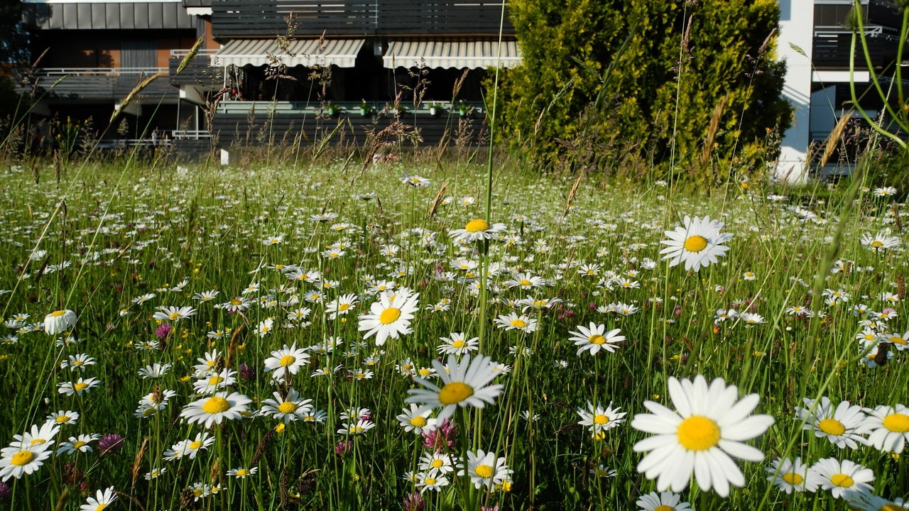 Photo of Outdoor in Schwarzenbach