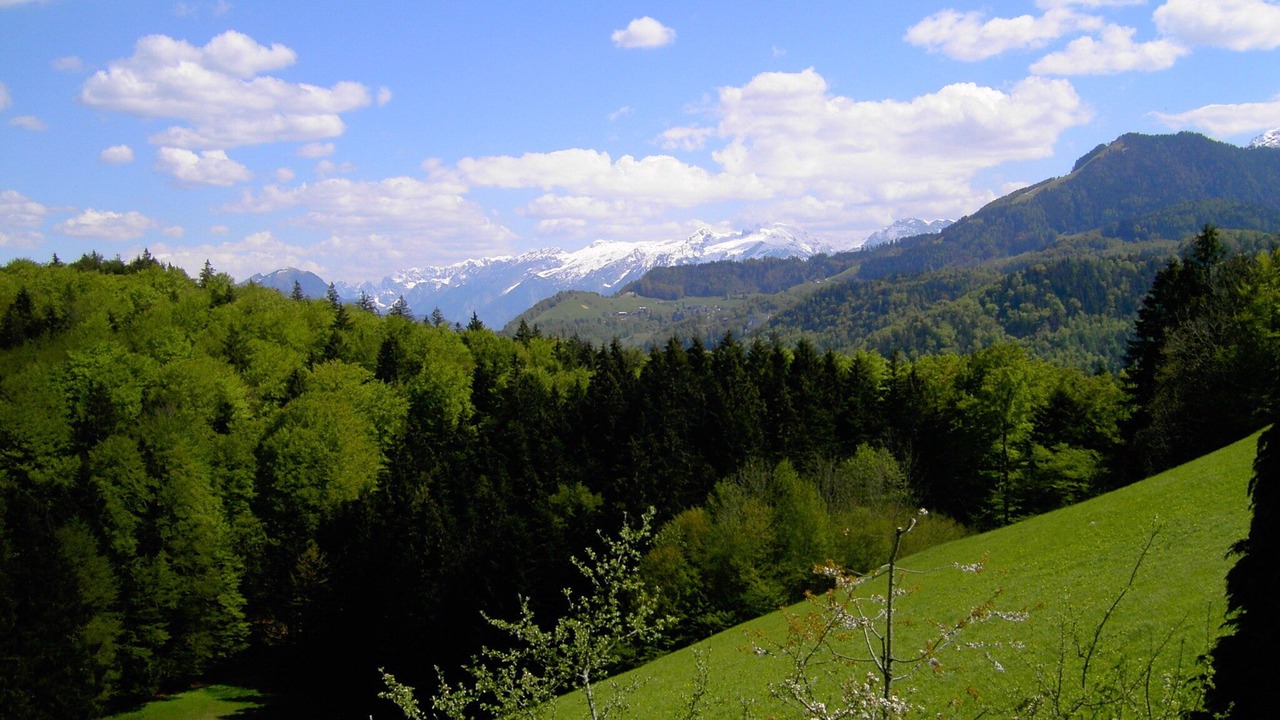 Photo of Others in Marktschellenberg