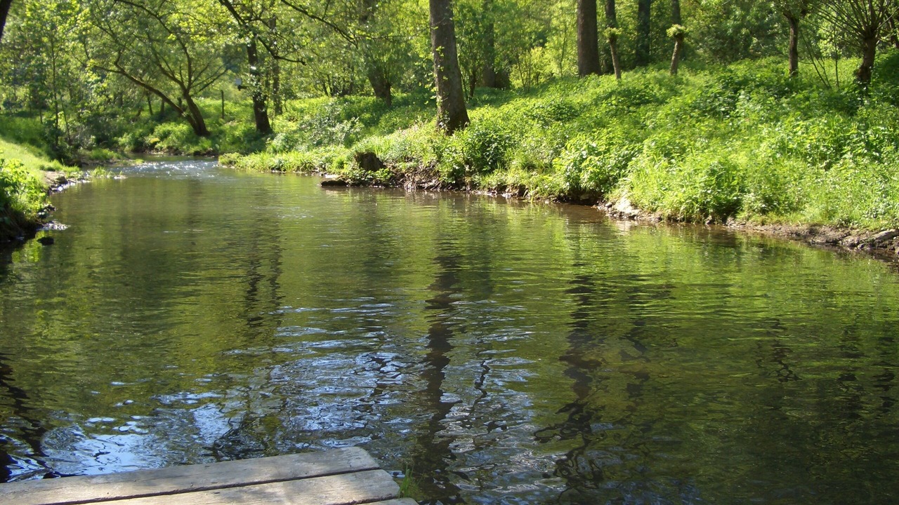 Photo of Outdoor in Goessweinstein