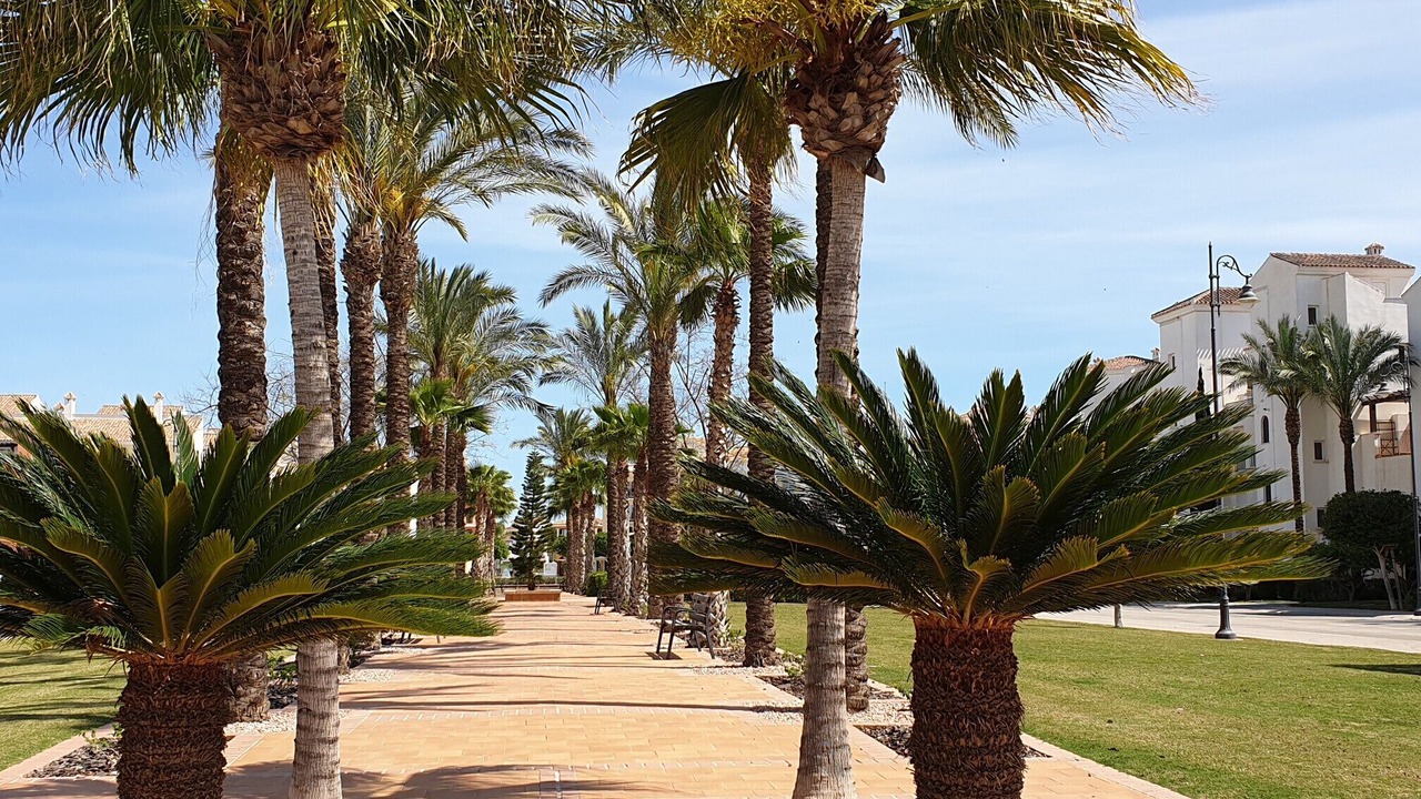 Photo of Outdoor in Roldan
