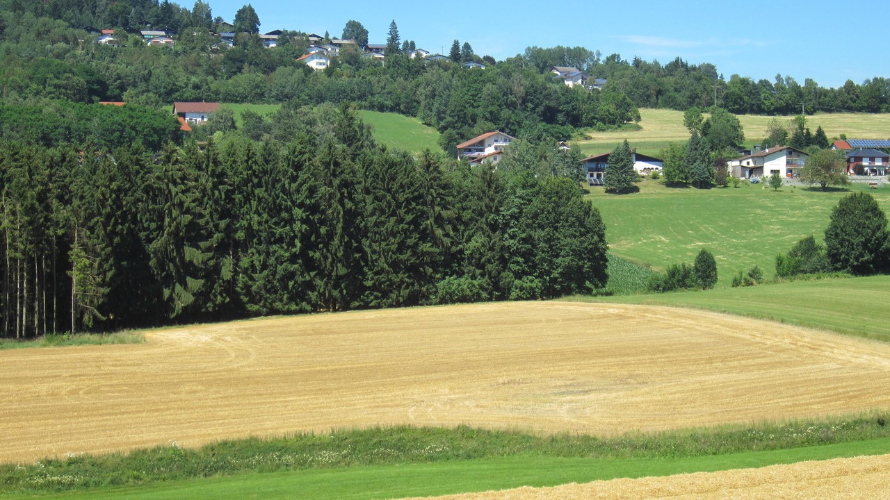 Photo of Others in Vordergalgenberg