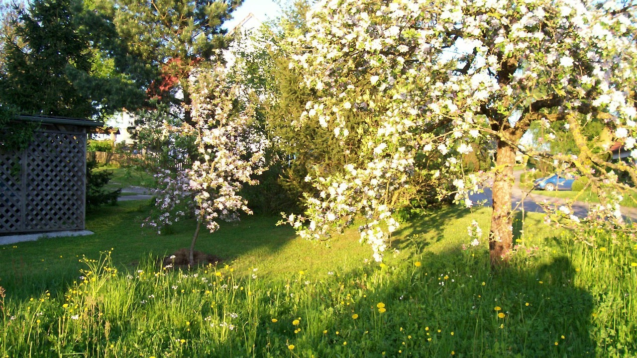 Photo of Outdoor in Wittelshofen