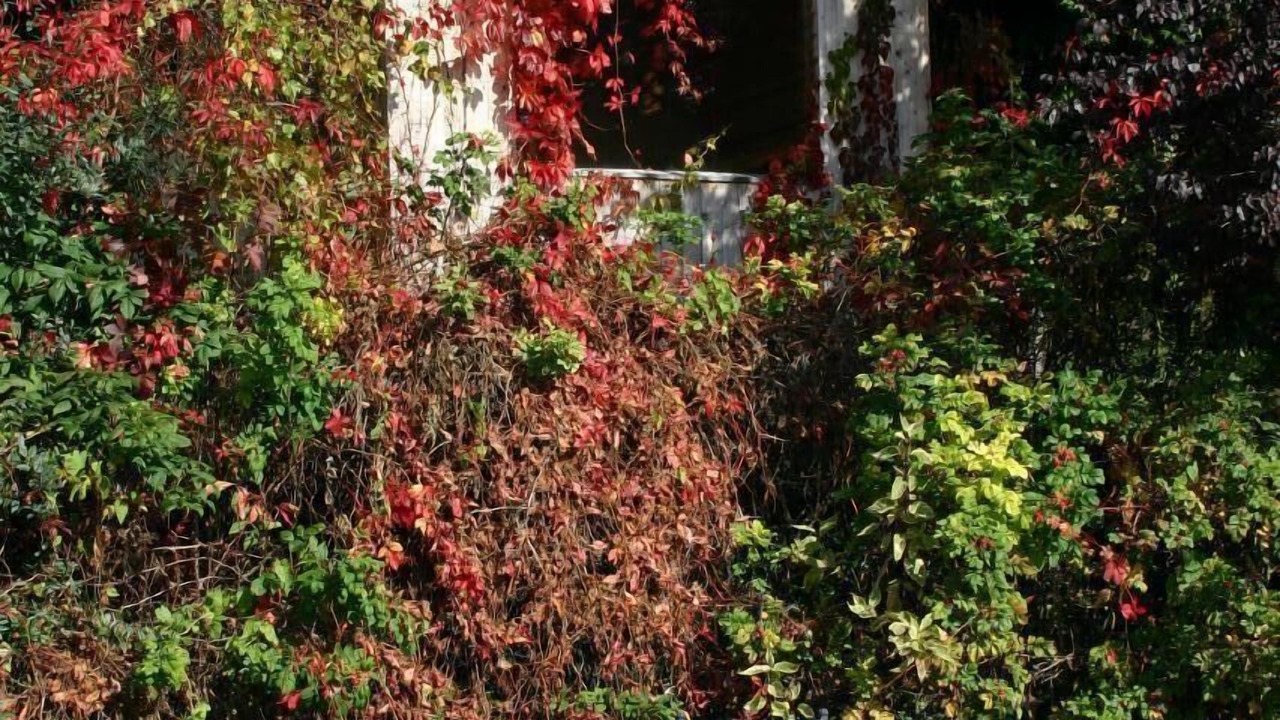 Photo of Outdoor in Glashutt