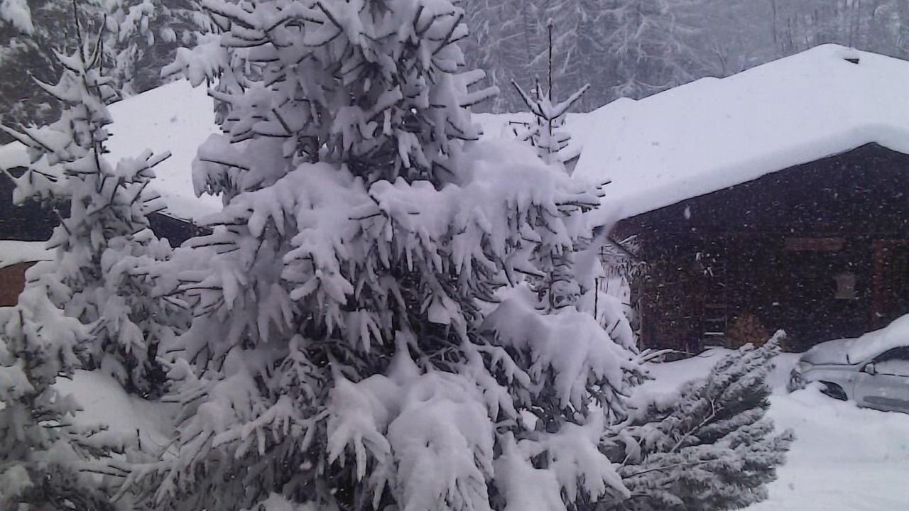 Photo of Outdoor in Thaling