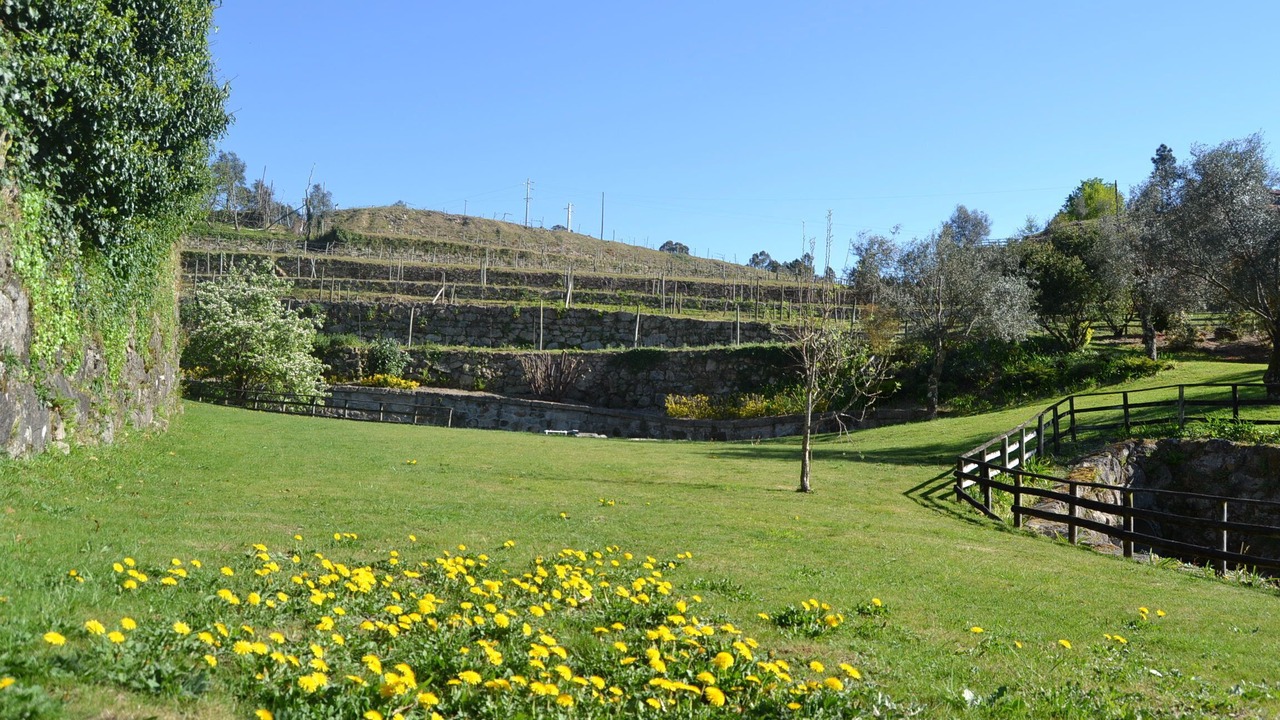 Photo of Outdoor in Cabeceiras de Basto
