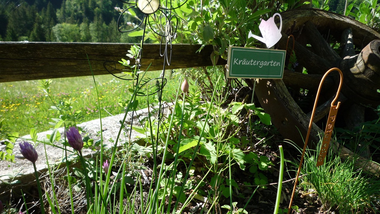 Photo of Outdoor in Schneizlreuth