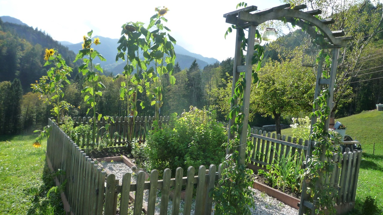 Photo of Outdoor in Schneizlreuth