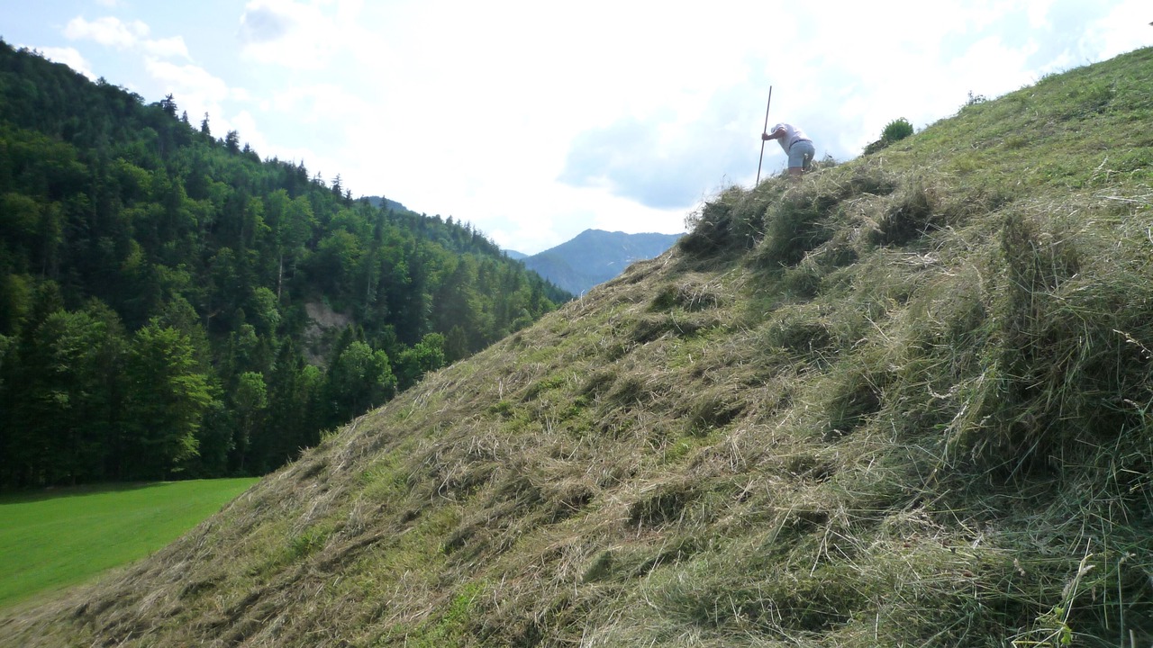 Photo of Others in Schneizlreuth