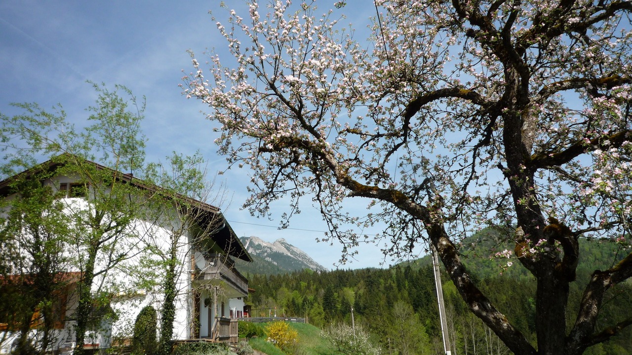 Photo of Outdoor in Schneizlreuth