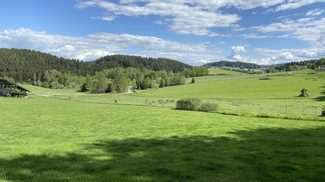 Photo of Others in Untermitterdorf