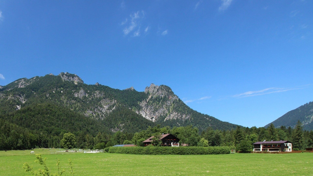 Photo of Others in Winkl