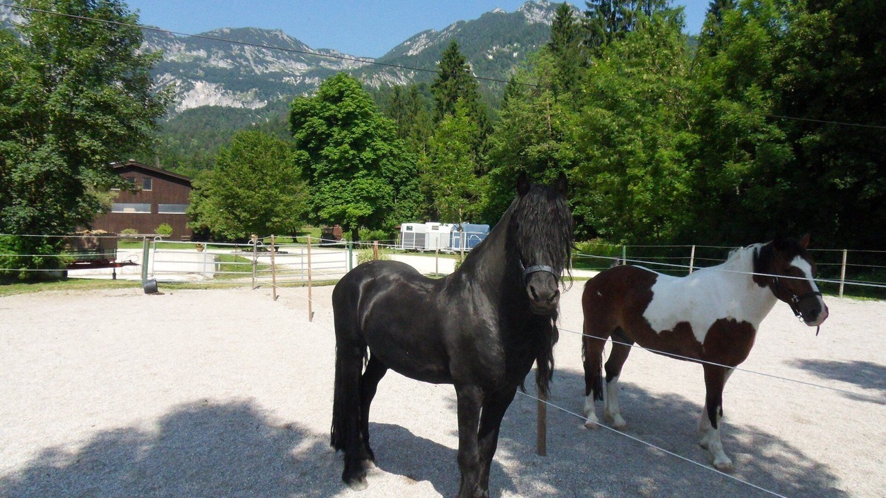 Photo of Outdoor in Winkl