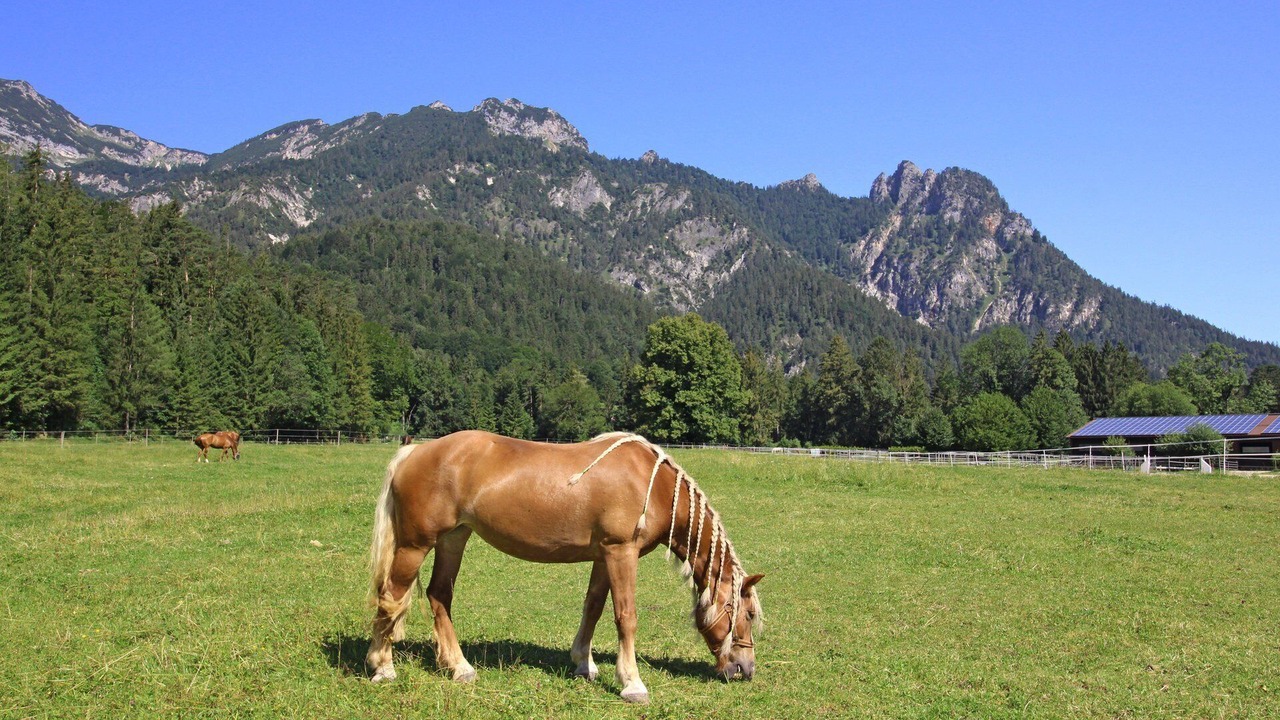 Photo of Outdoor in Winkl