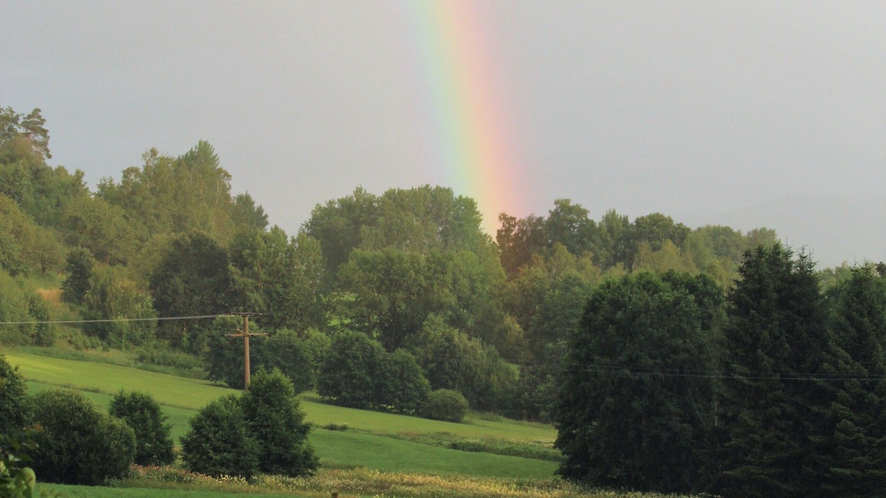 Photo of Outdoor in Kirchdorf im Wald