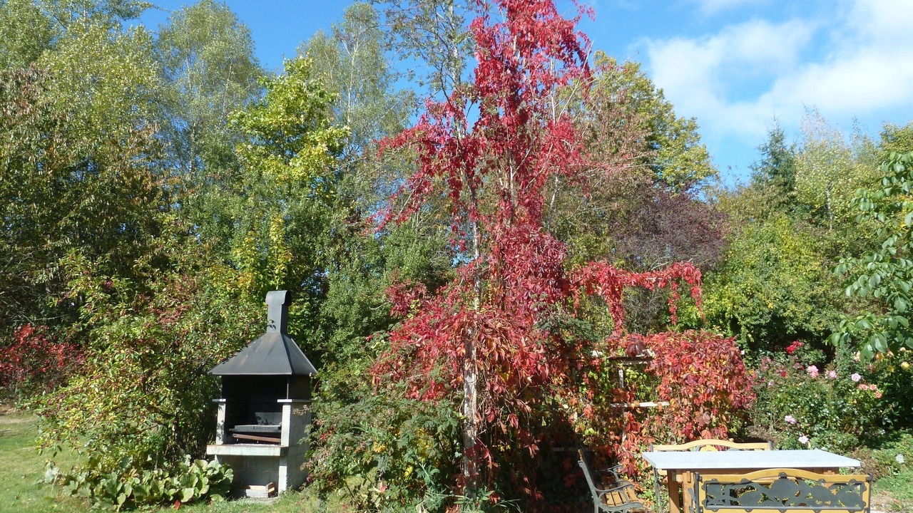 Photo of Outdoor in Kirchdorf im Wald
