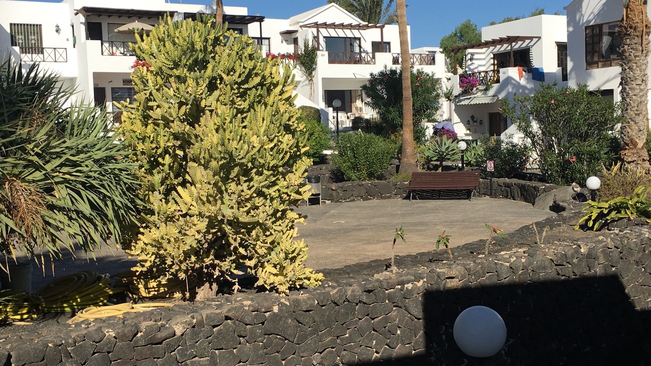 Photo of Outdoor in Los Pocillos