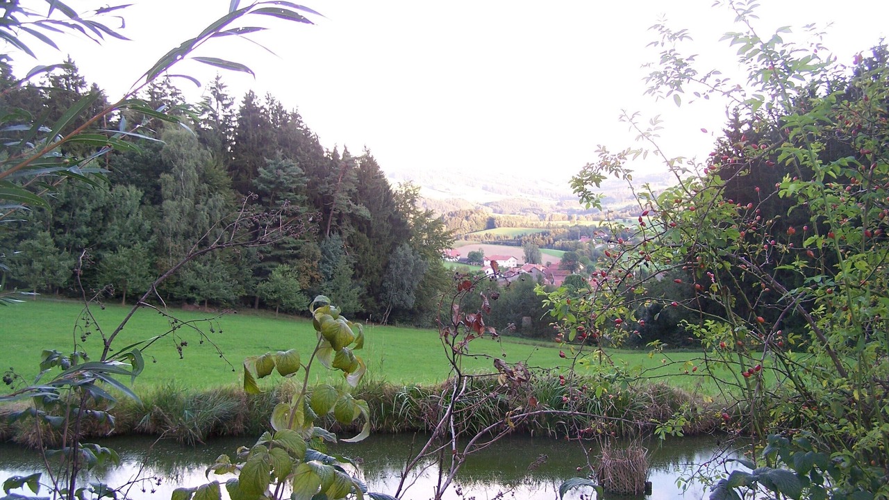 Photo of Outdoor in Loifling