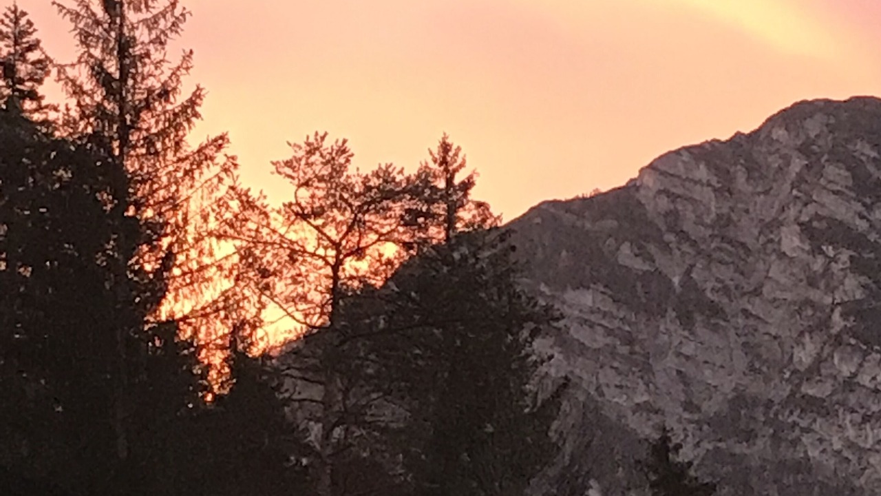 Photo of Others in Weissbach an der Alpenstrasse