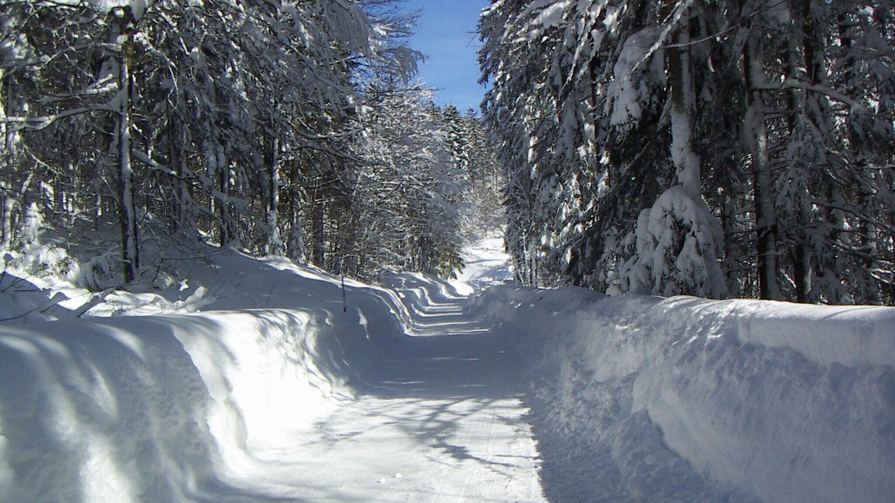 Photo of Others in Weissbach an der Alpenstrasse