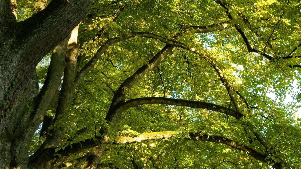 Photo of Outdoor in Bad Schachen