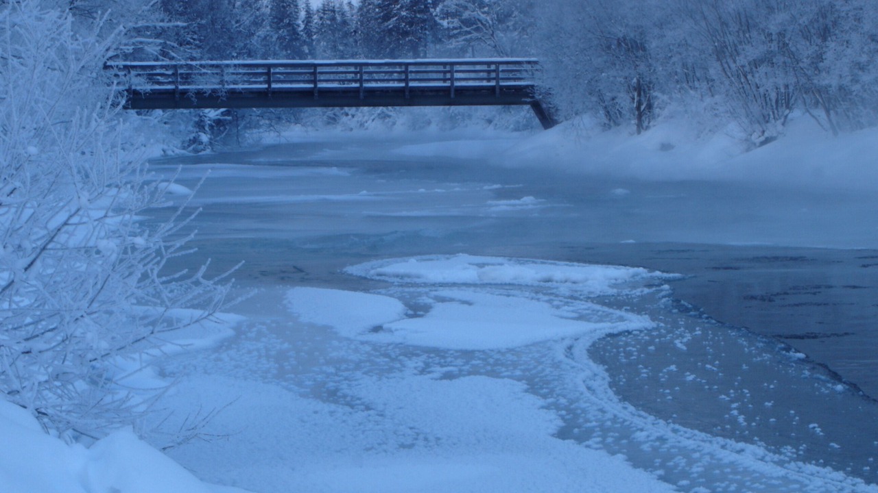Photo of Outdoor in Steeg