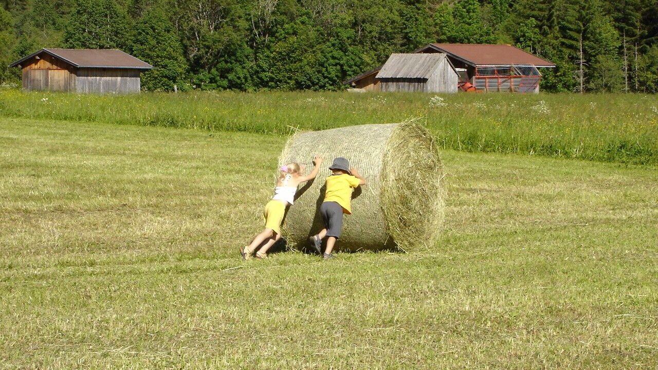 Photo of Others in Steeg
