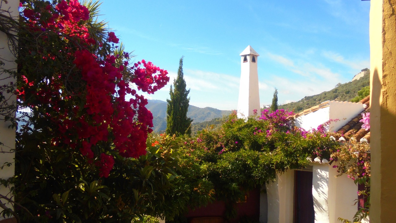 Photo of Others in Comares