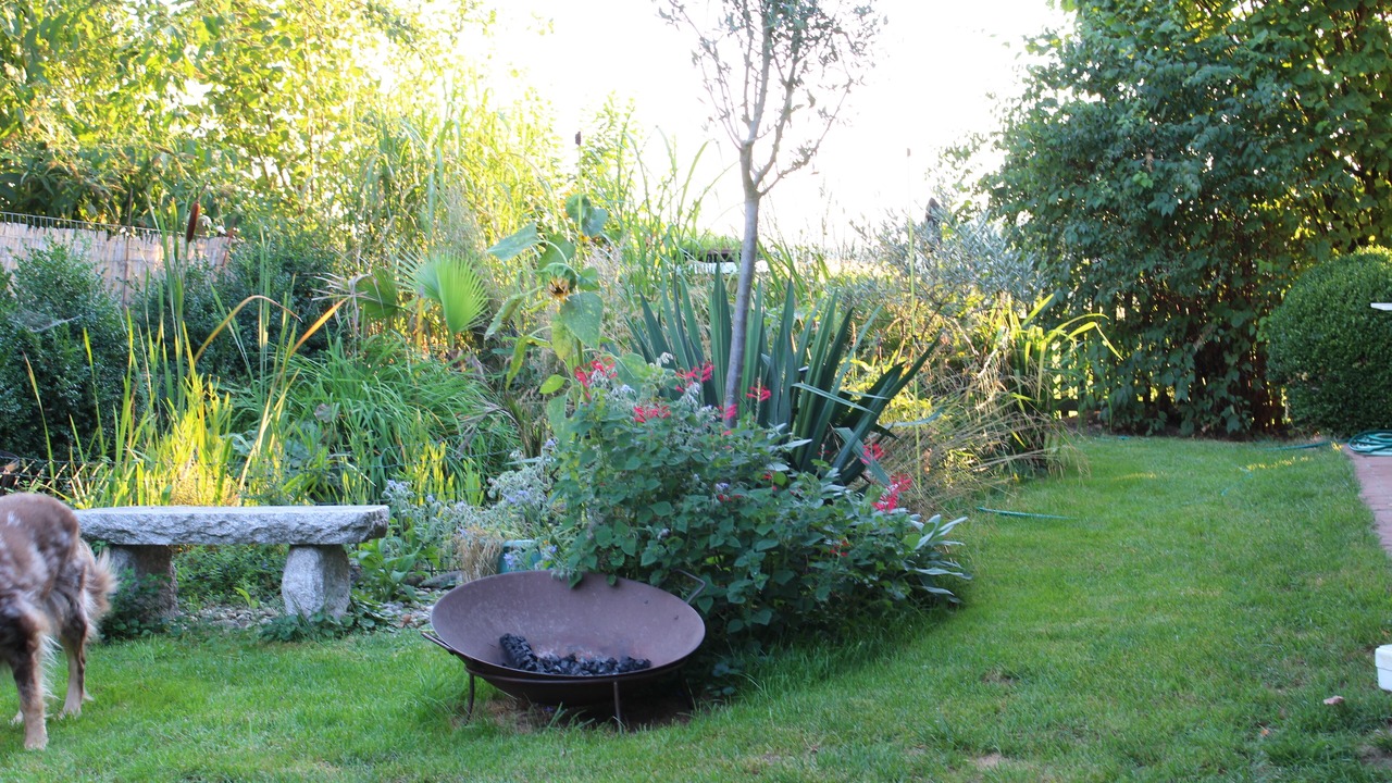 Photo of Outdoor in Asten