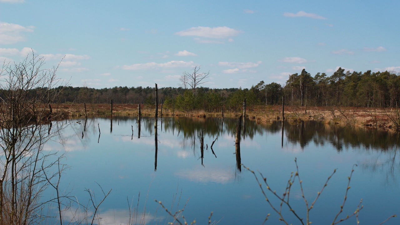 Photo of Outdoor in Kirchlinteln