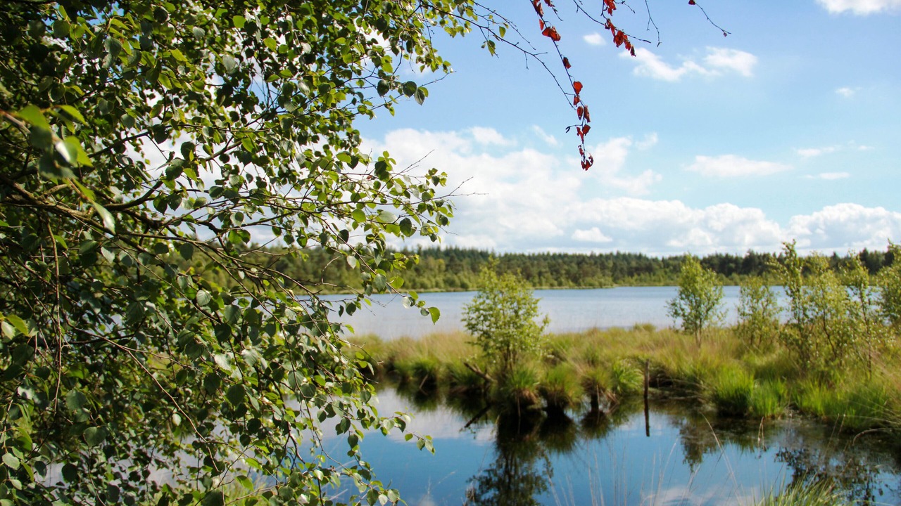 Photo of Outdoor in Kirchlinteln
