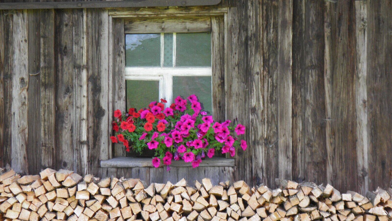 Photo of Outdoor in Christazhofen