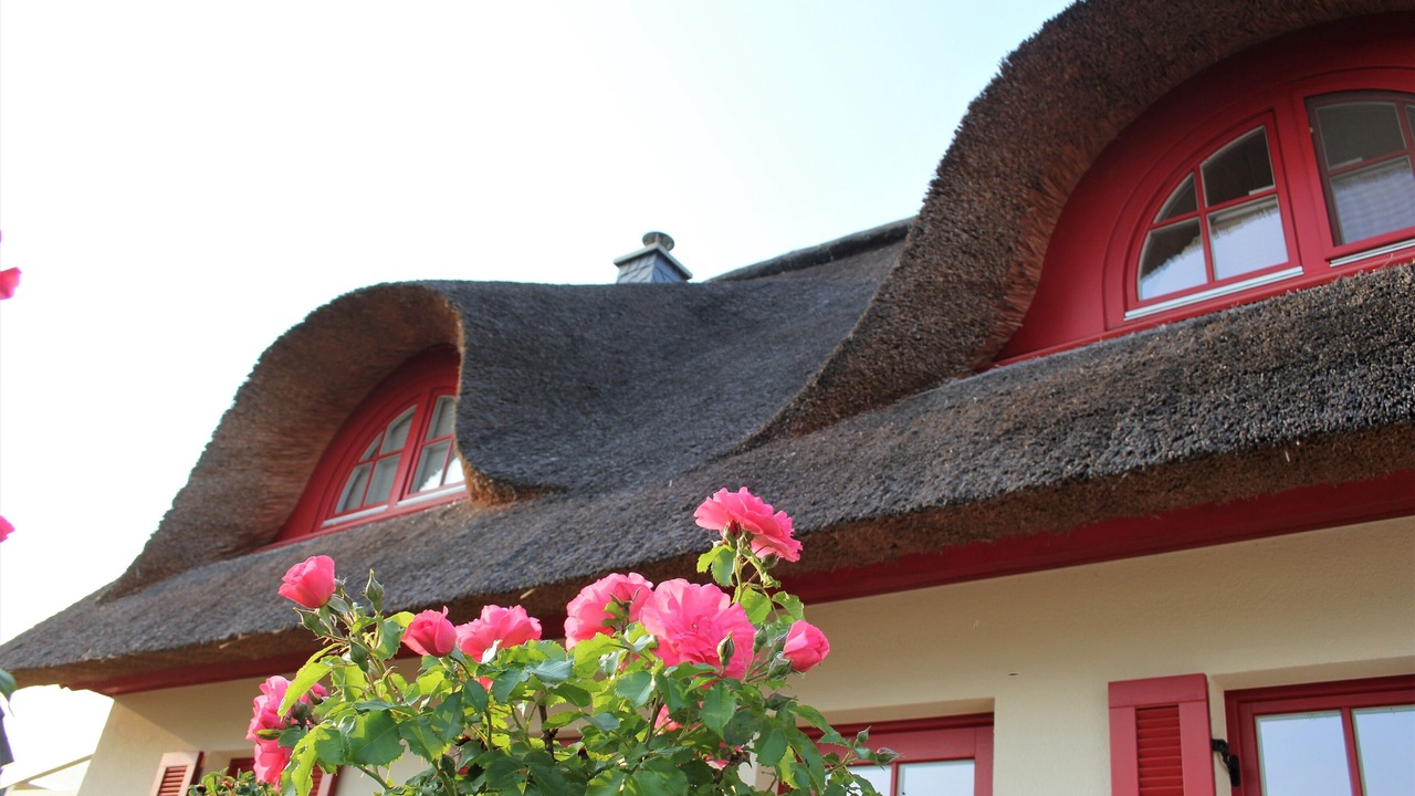 Photo of Outdoor in Zierow