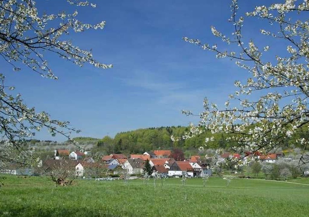 Photo of Others in Egloffstein