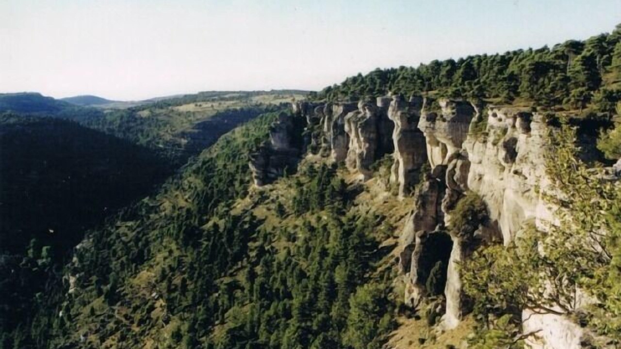 Photo of Outdoor in Las Majadas