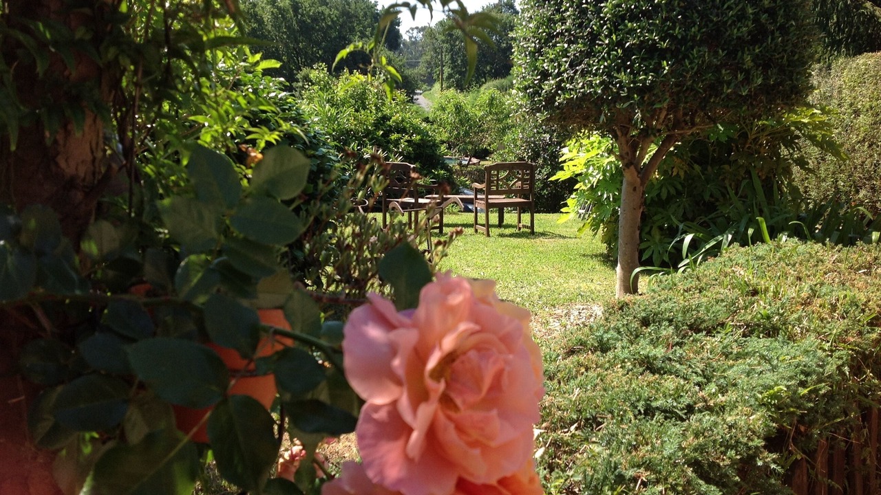 Photo of Outdoor in Mondariz