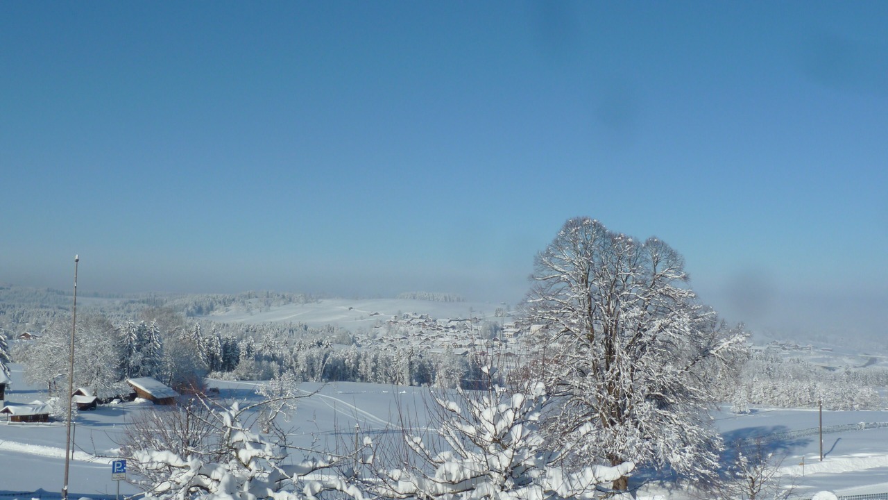 Photo of Others in Sonnen